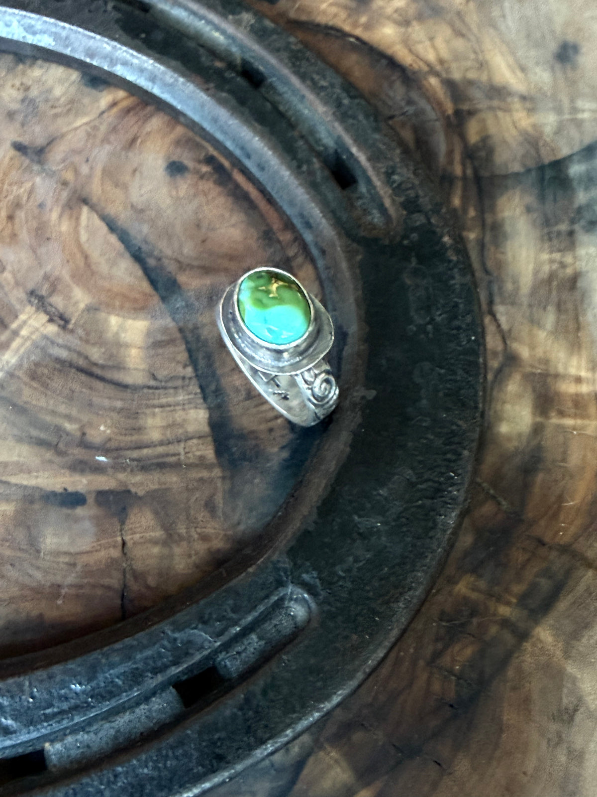 Dorothy Series | Sonoran Turquoise Patterned Silver Rings | Sizes 3.5–9