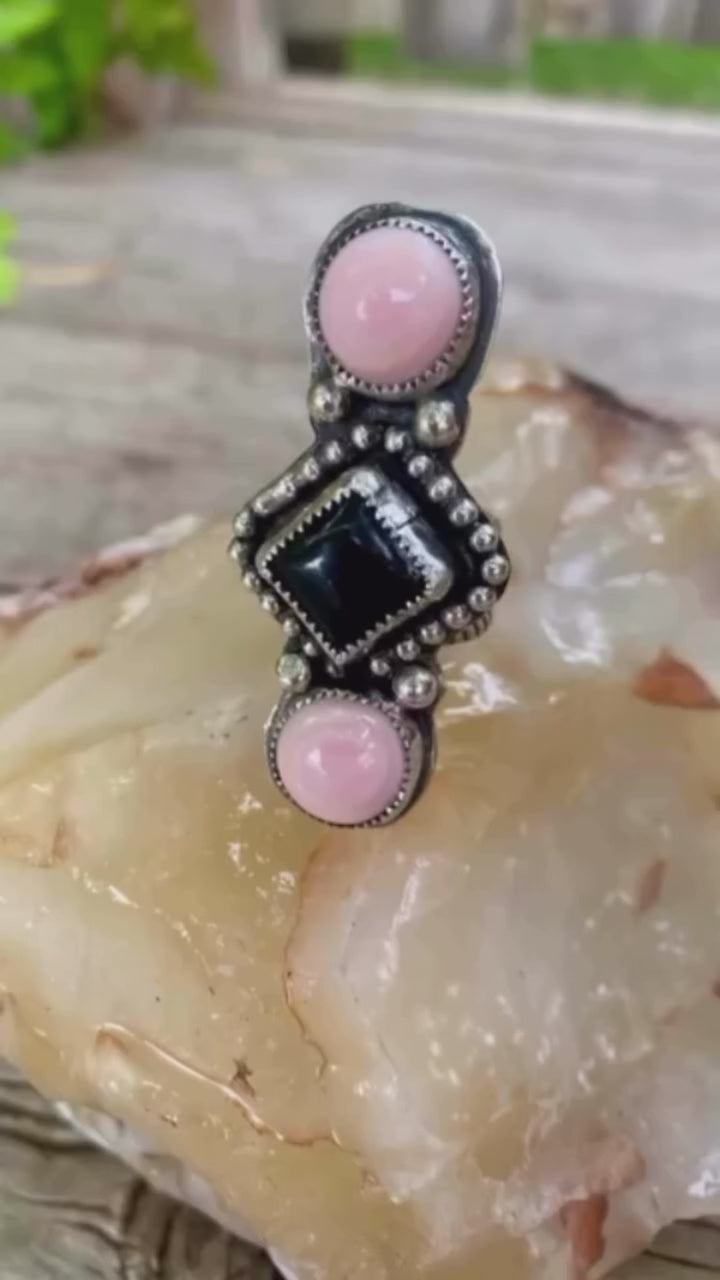 Heritage Series | Pink Conch Collector's Suite
